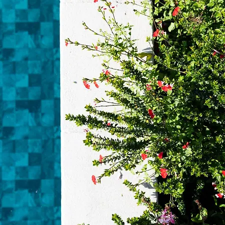 فندق مبيت وإفطار El Patio 3*