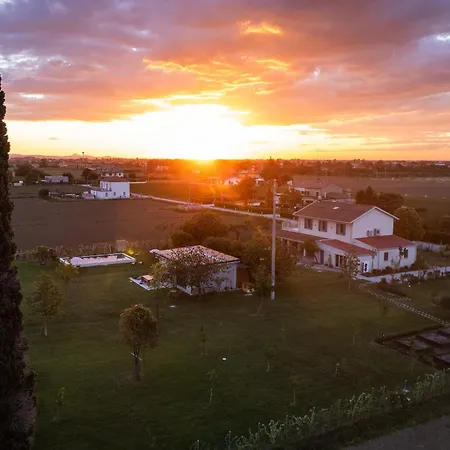 El Patio 3*