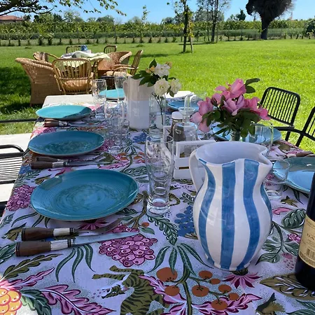 El Patio 3*