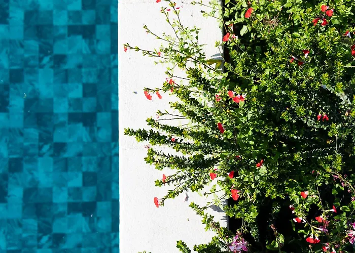 Nocleg ze śniadaniem El Patio 3*