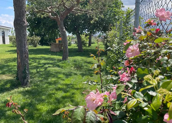 El Patio 3* San Vito (Rimini)